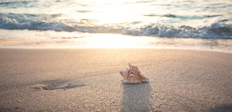 Beach Meditation